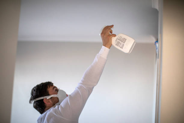 Best Basement Mold Remediation in Bellwood, IL