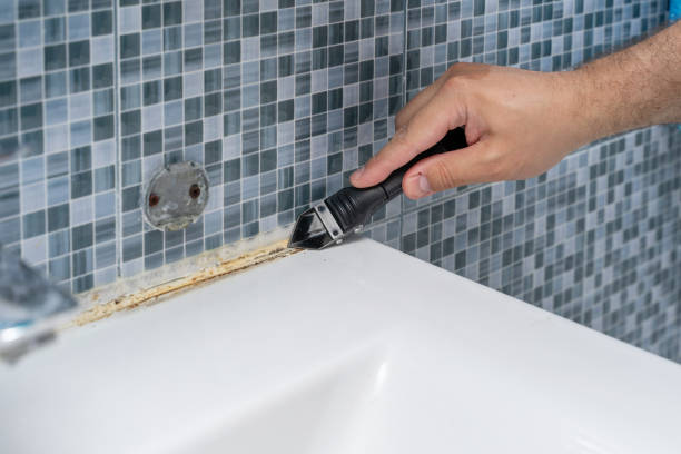 Best Insurance-Related Mold Remediation in Bellwood, IL
